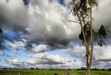 [天下足球]补时读秒绝平 勒沃库森保住不败金身.