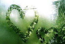 CBA：客场取胜 广东队112-97南京队.