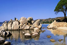 8868体育：CBA最后一轮排名大解析：辽宁最好第3广东第4 新疆最差或跌至第9.